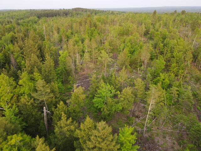 Lot 13 Parker Pond Road Sebec ME 04481
