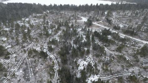 Lot 13 Parker Pond Road Sebec ME 04481