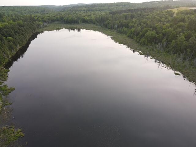 Lot 13 Parker Pond Road Sebec ME 04481
