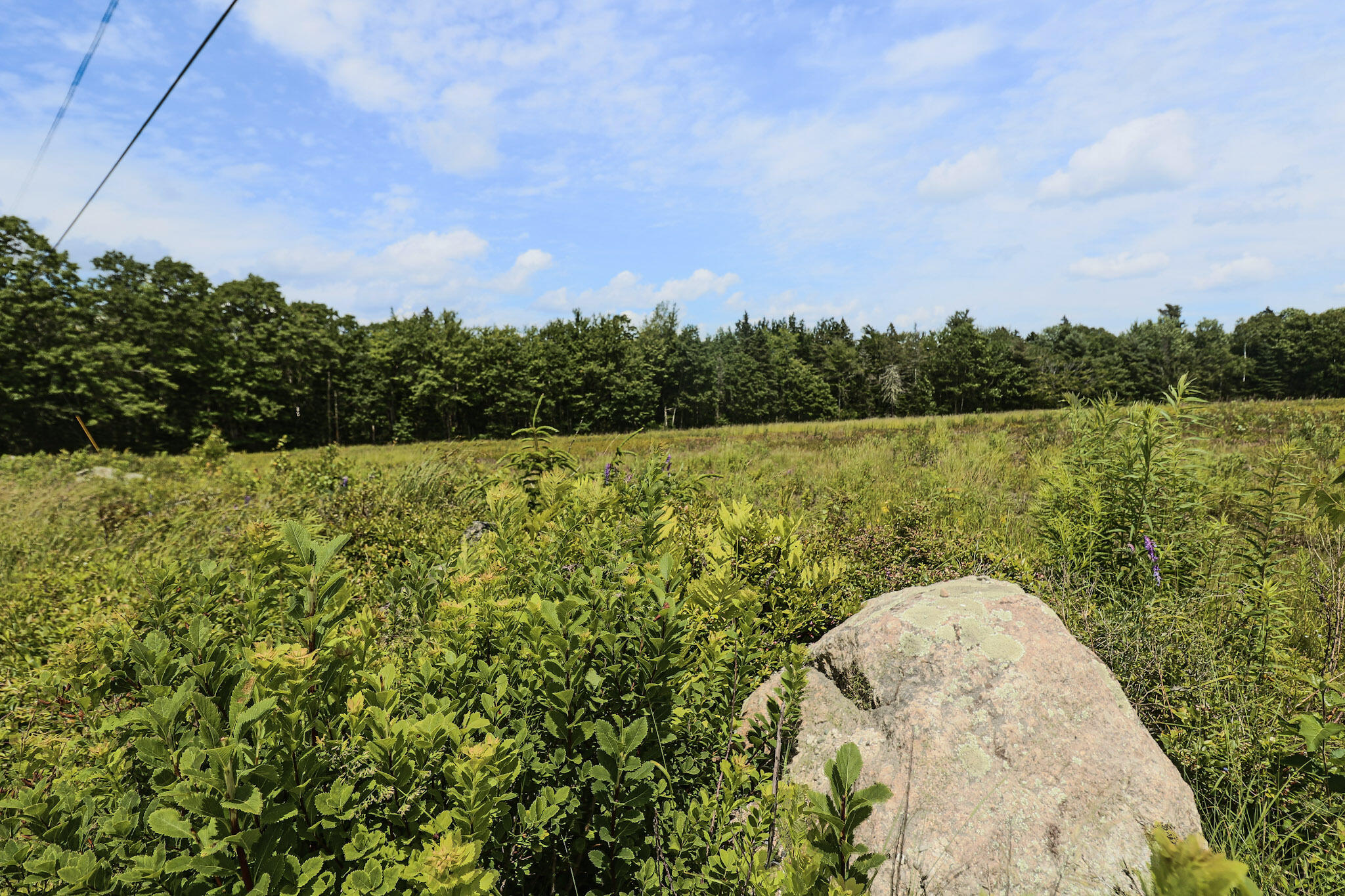 MAP13LOT4 Martins Ridge Road Franklin ME 04634