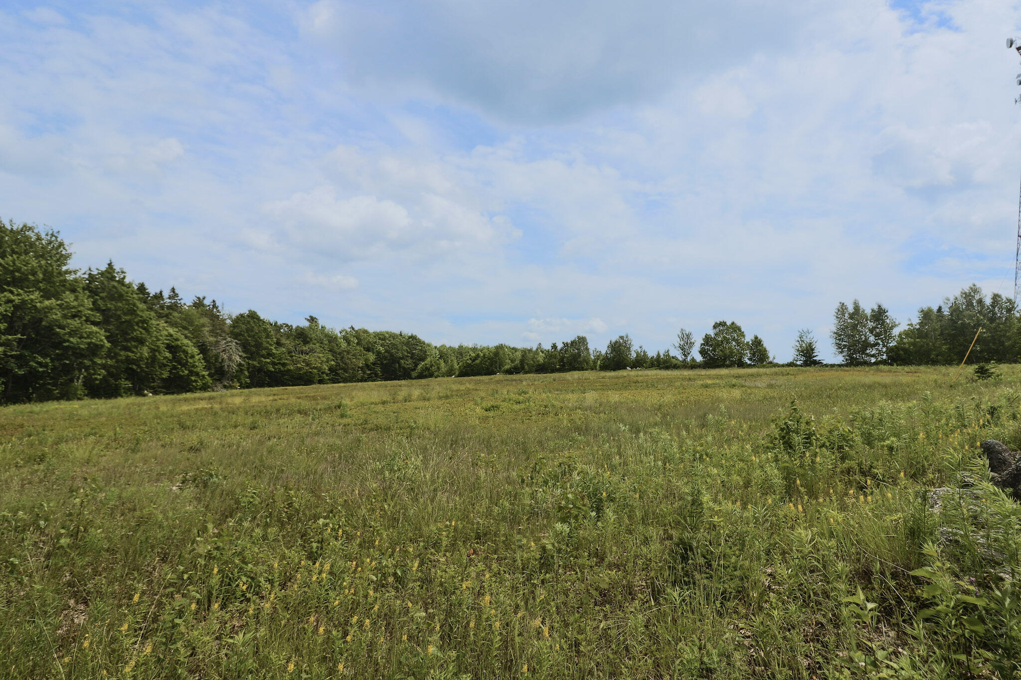 MAP13LOT4 Martins Ridge Road Franklin ME 04634