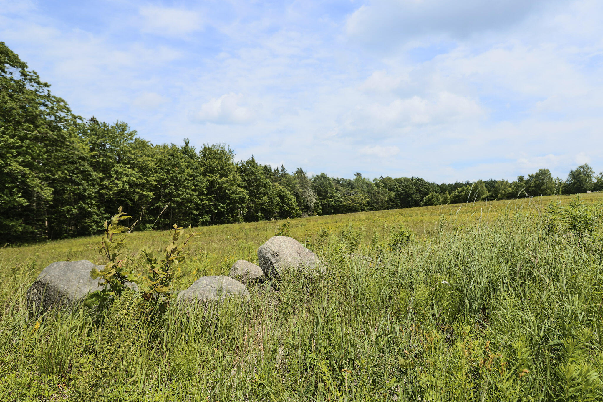 MAP13LOT4 Martins Ridge Road Franklin ME 04634