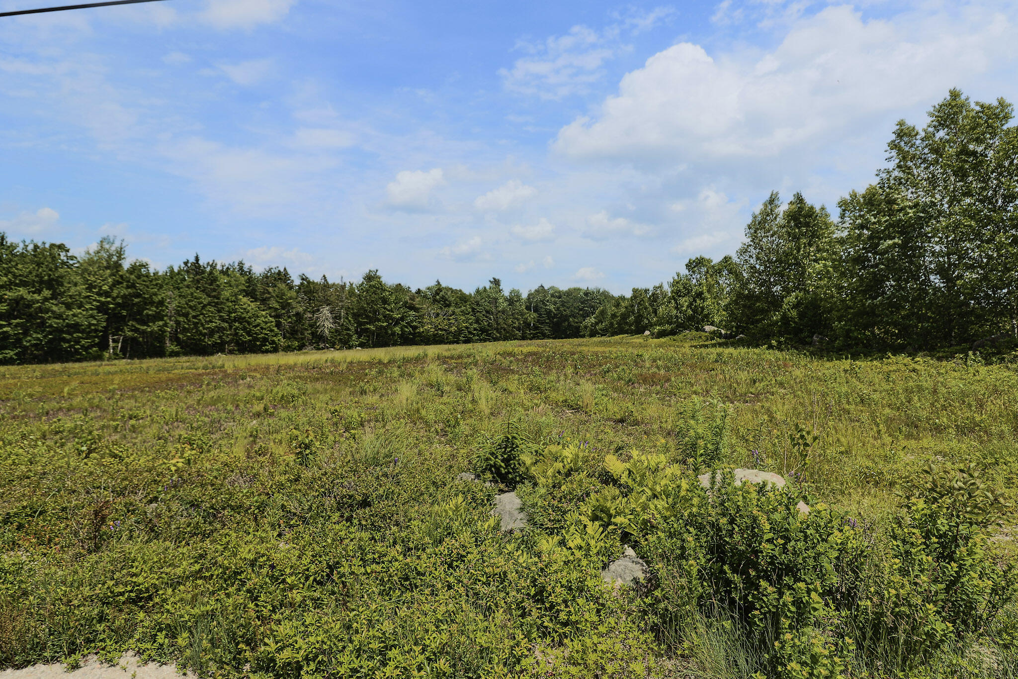 MAP13LOT4 Martins Ridge Road Franklin ME 04634