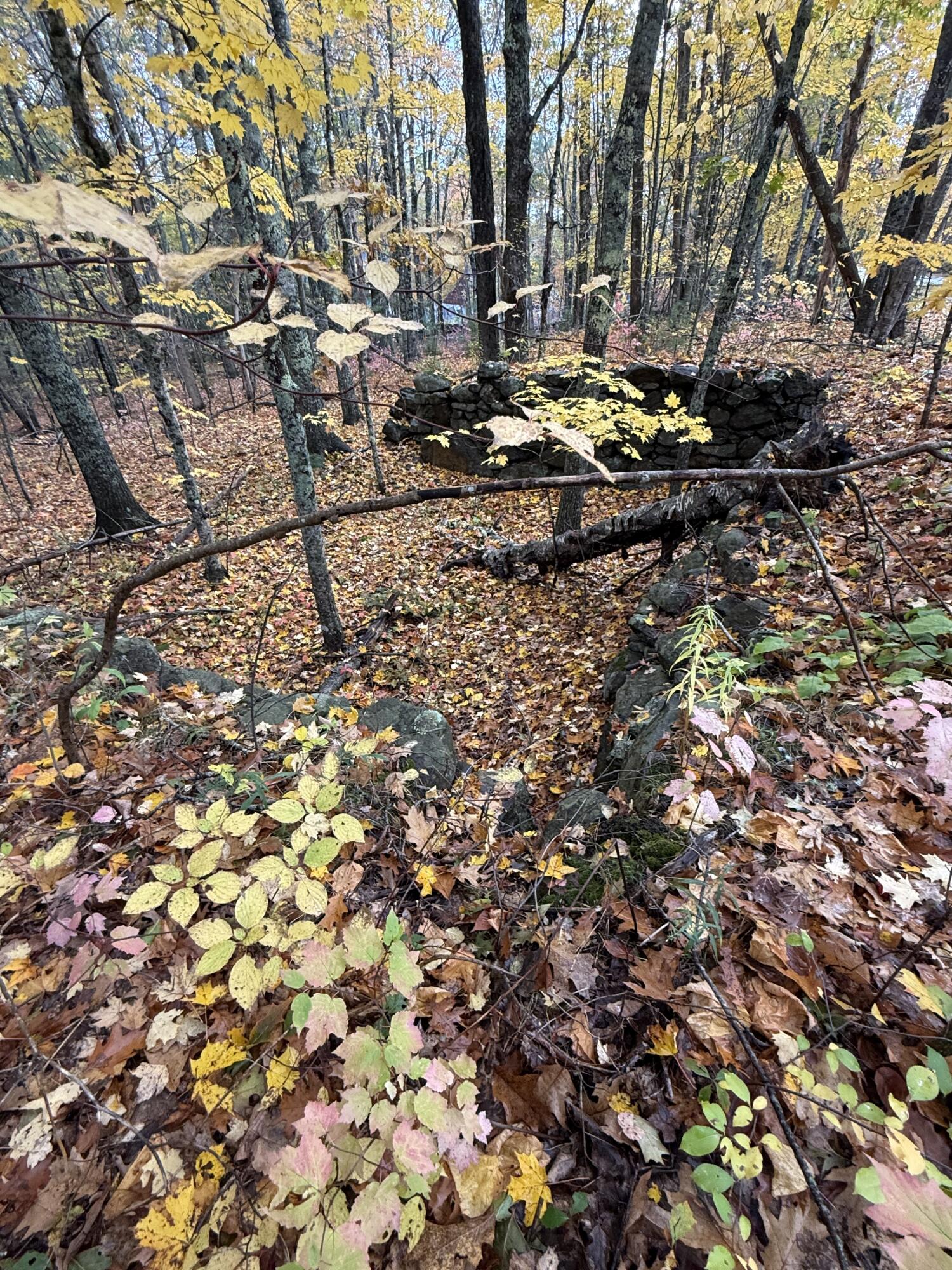 Tbd Map 15, Lot 150 Mount Pleasant Street Rockport ME 04856