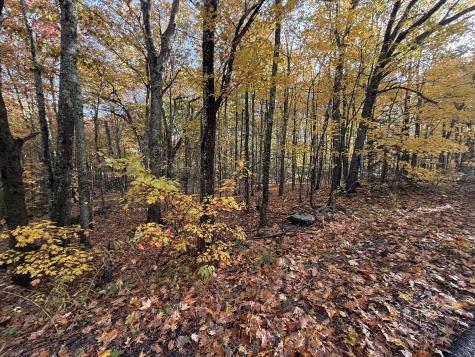 Tbd Map 15, Lot 150 Mt. Pleasant Street Rockport ME 04856