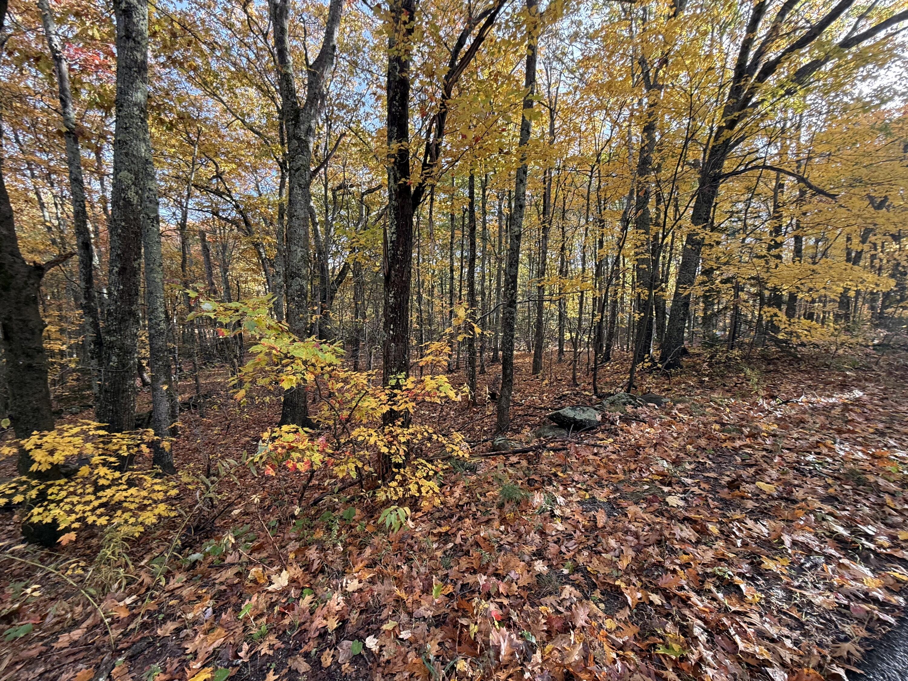 Tbd Map 15, Lot 150 Mount Pleasant Street Rockport ME 04856