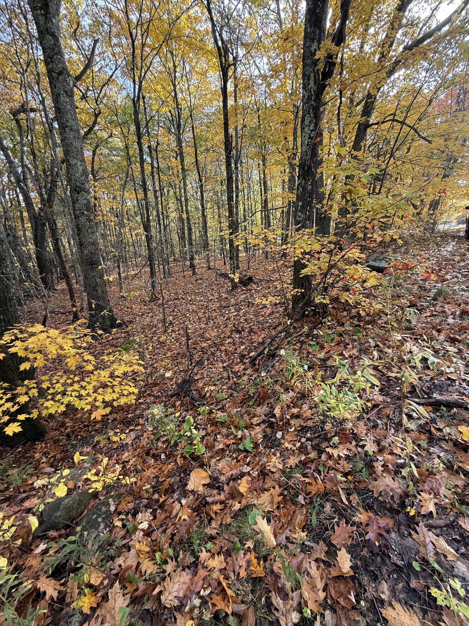 Tbd Map 15, Lot 150 Mount Pleasant Street Rockport ME 04856