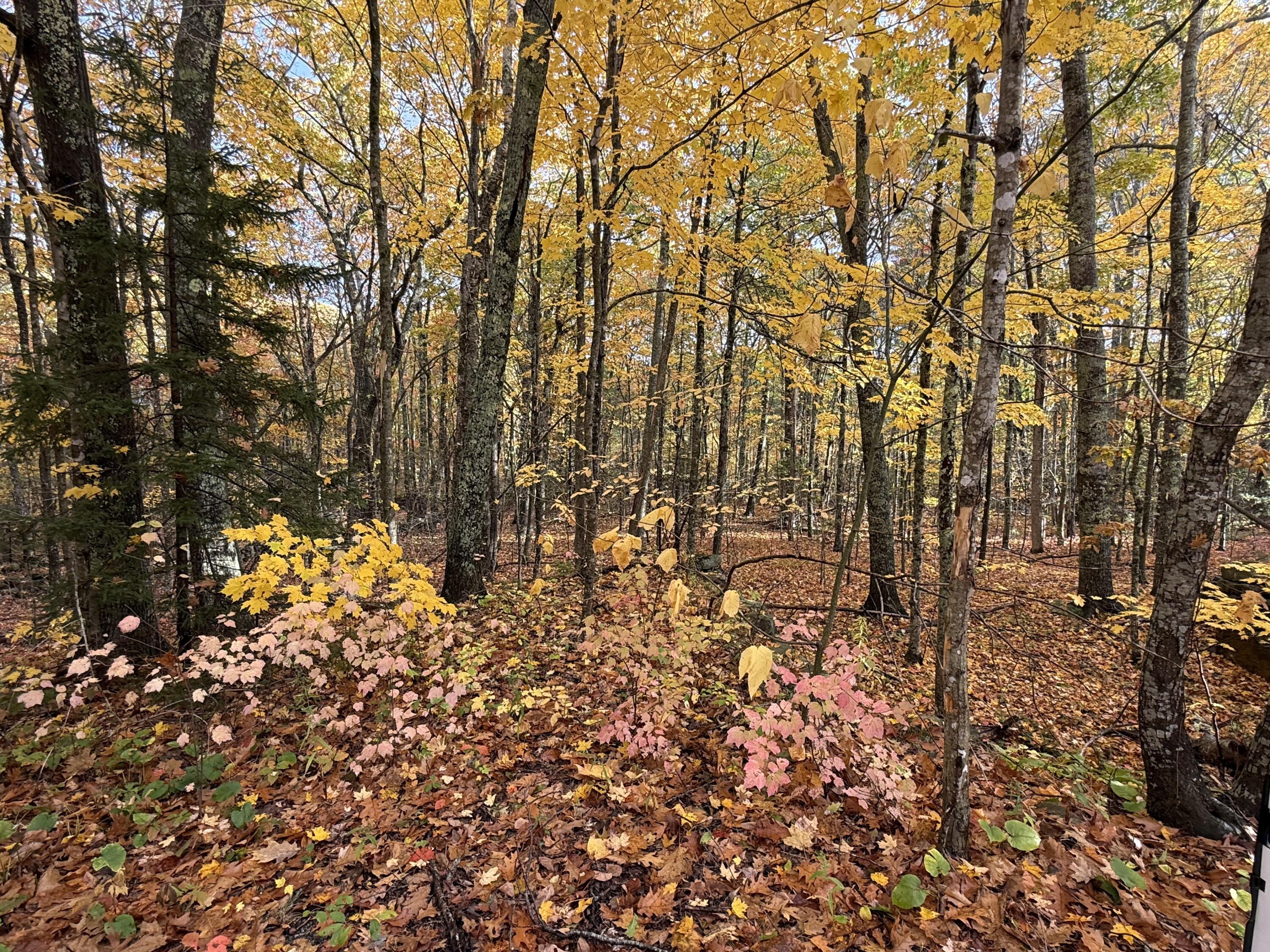 Tbd Map 15, Lot 150 Mount Pleasant Street Rockport ME 04856