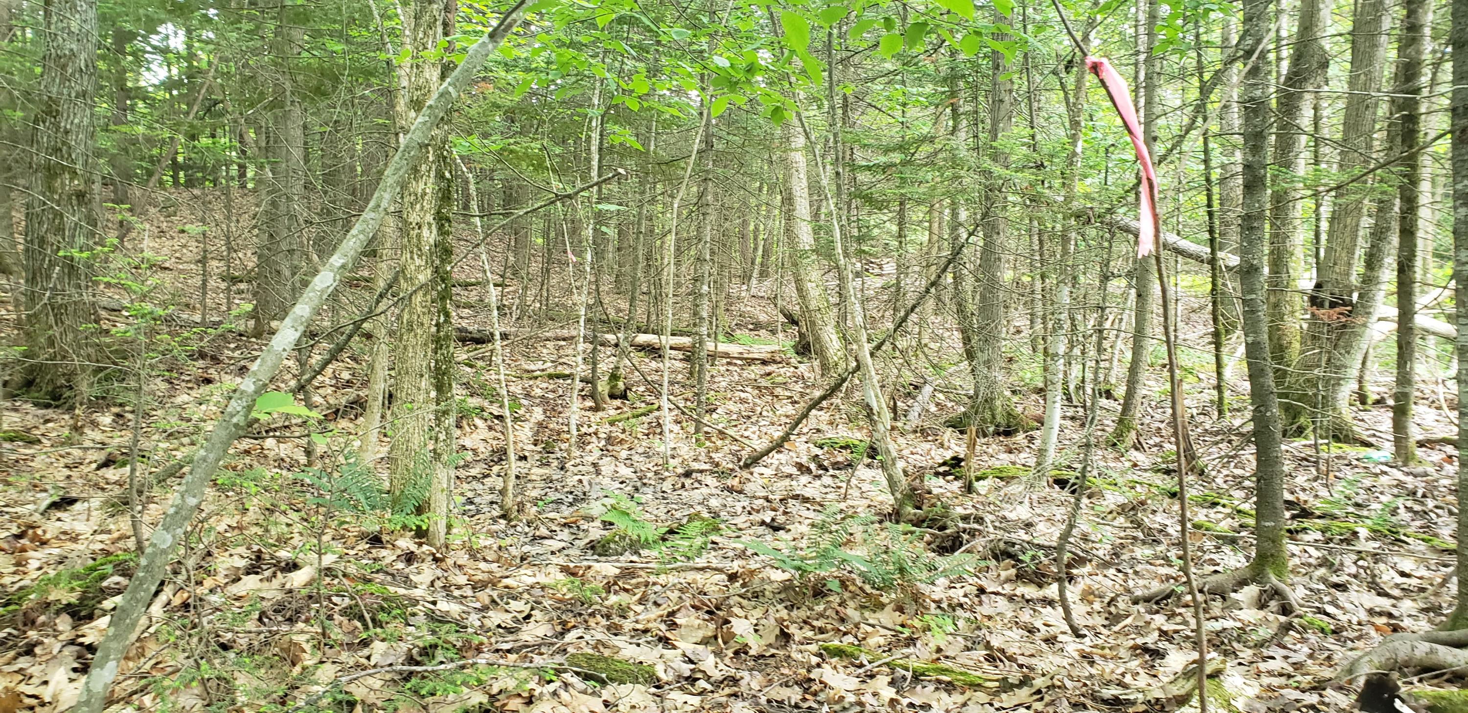 169 Pinewoods Road Lewiston ME 04240