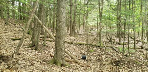 169 Pinewoods Road Lewiston ME 04240