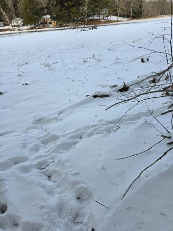 248 Lunts Hill Road Litchfield ME 04350