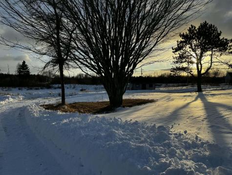 6, 11, 20 Skinner Corner Jonesport ME 04649