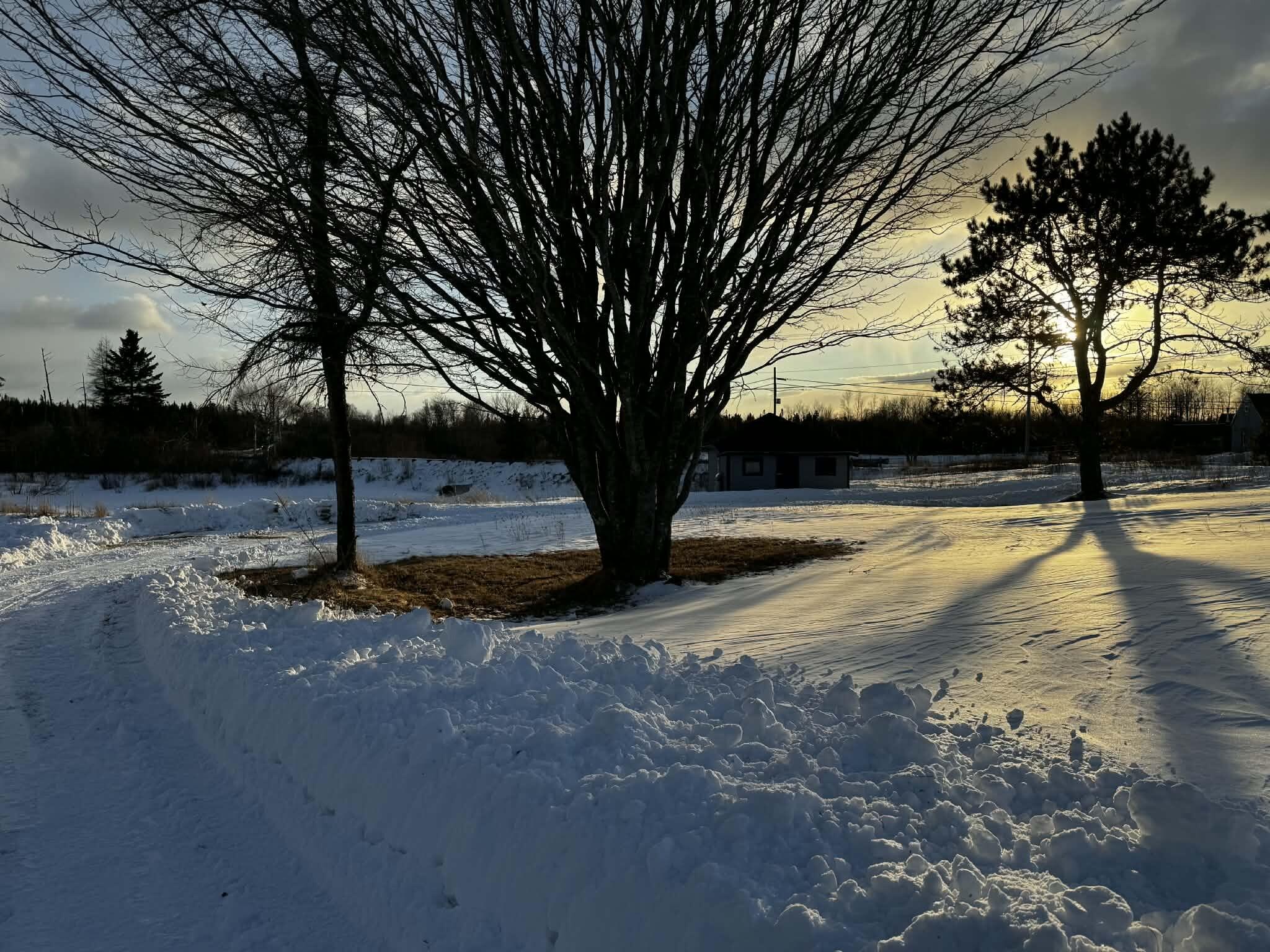 6, 11, 20 Skinner Corner Jonesport ME 04649