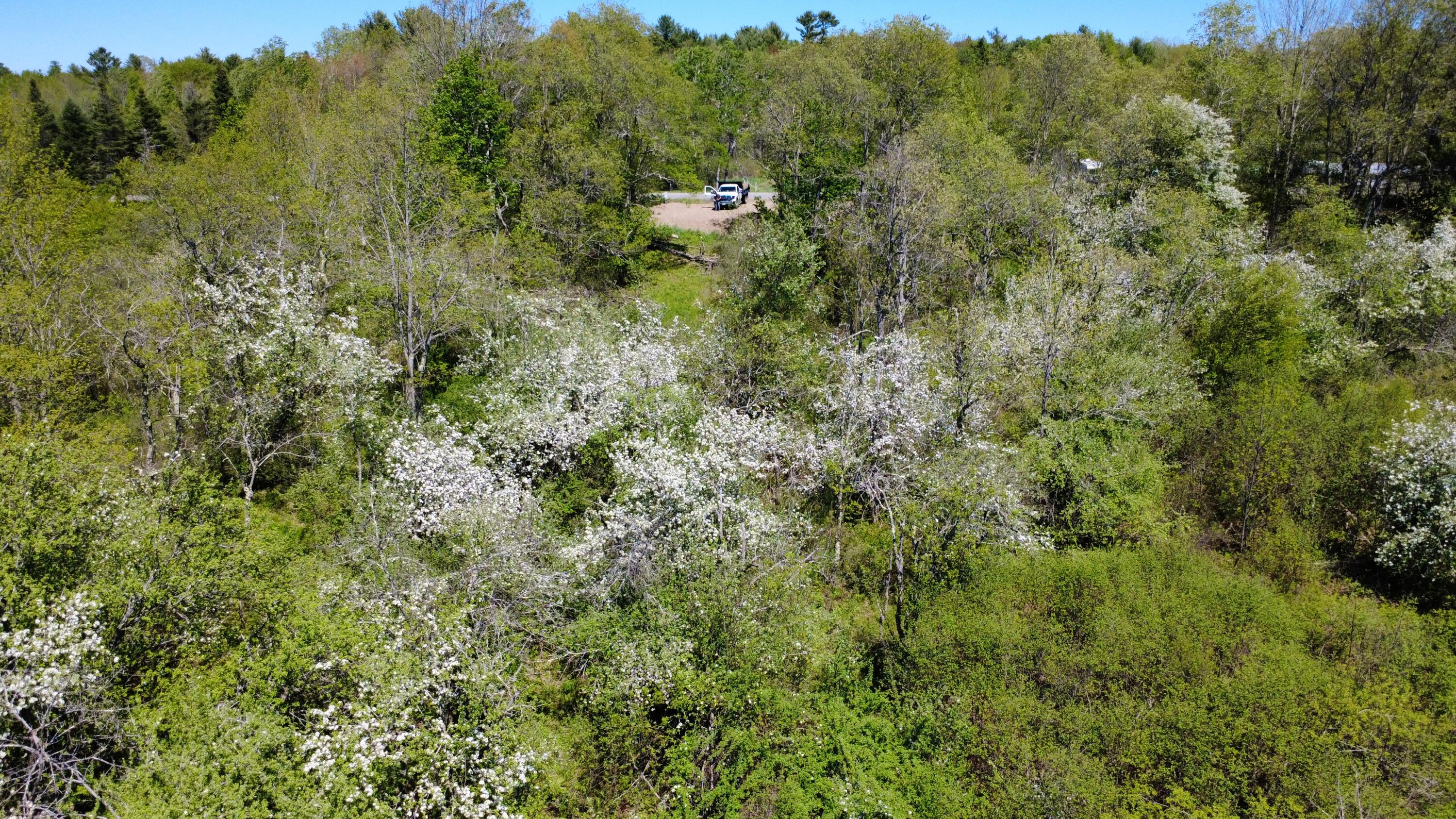 1 Goose River Estates Swanville ME 04915