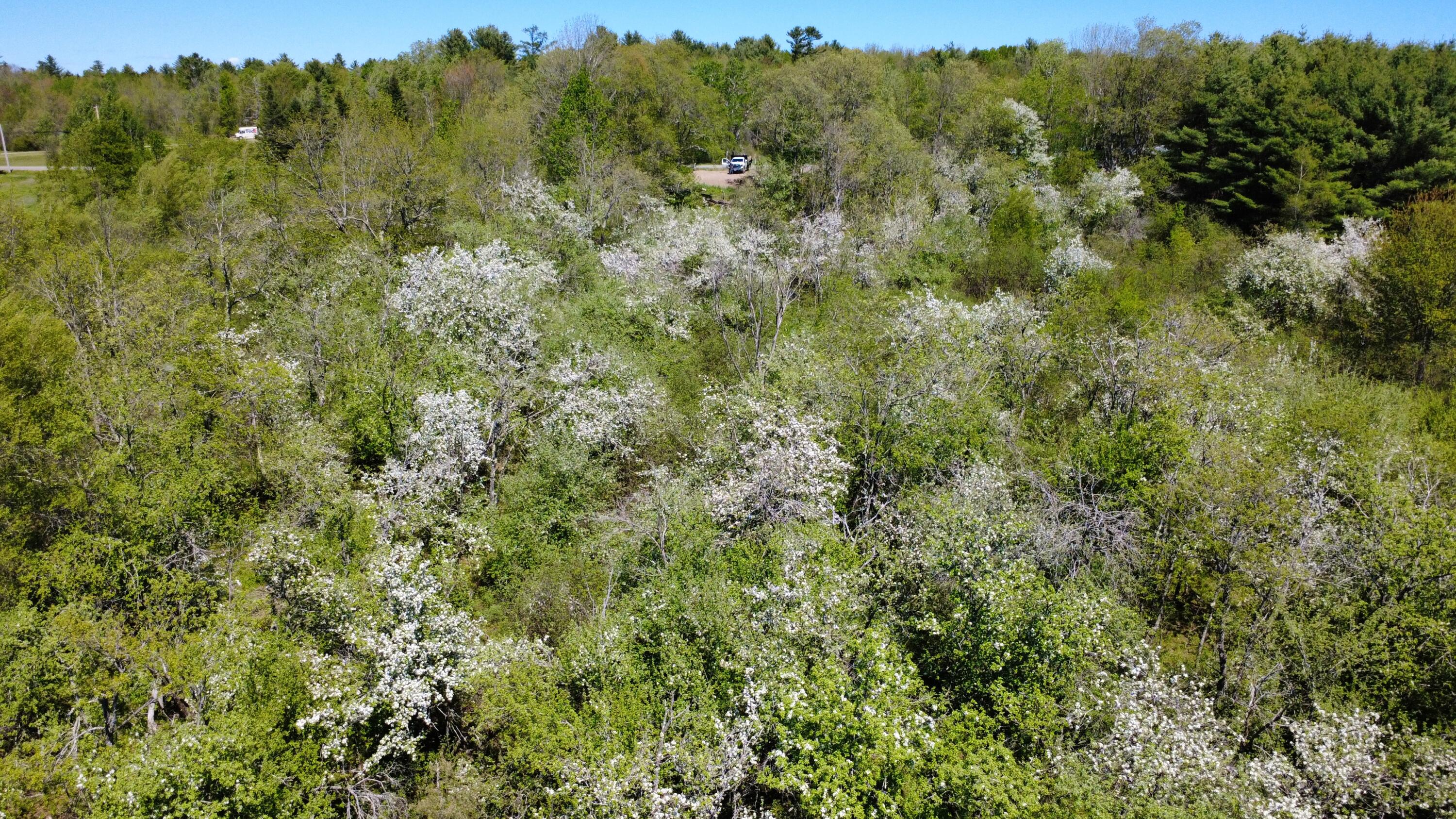 1 Goose River Estates Swanville ME 04915