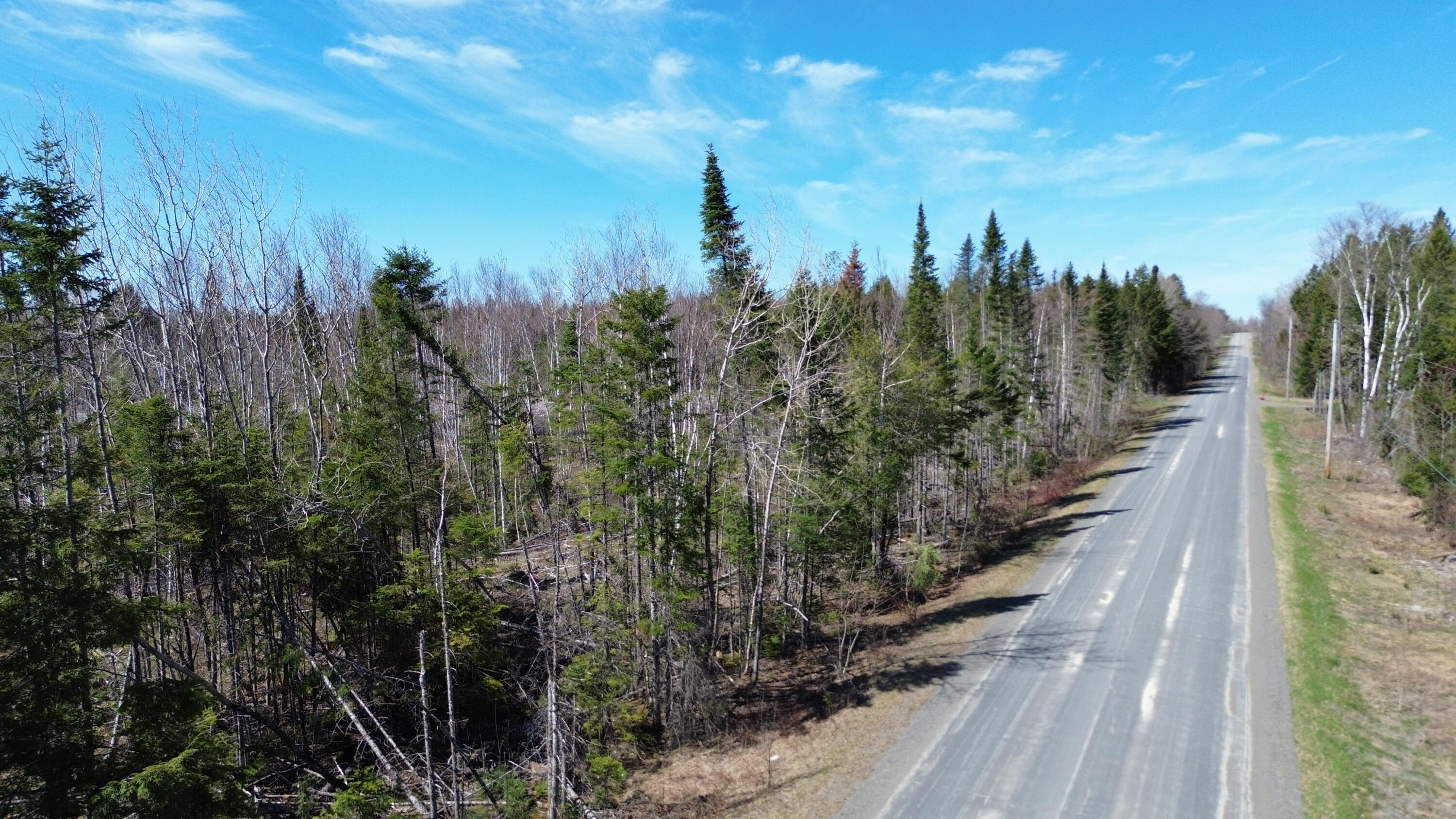 M 1 31c B Road Hammond ME 04730