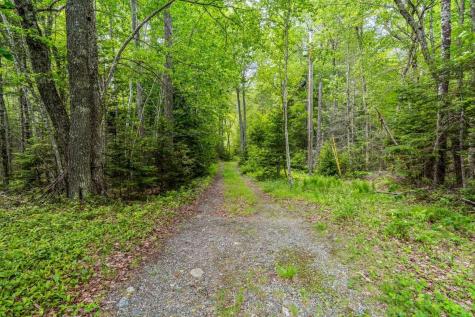 241 Tannery Brook Road Mariaville ME 04605