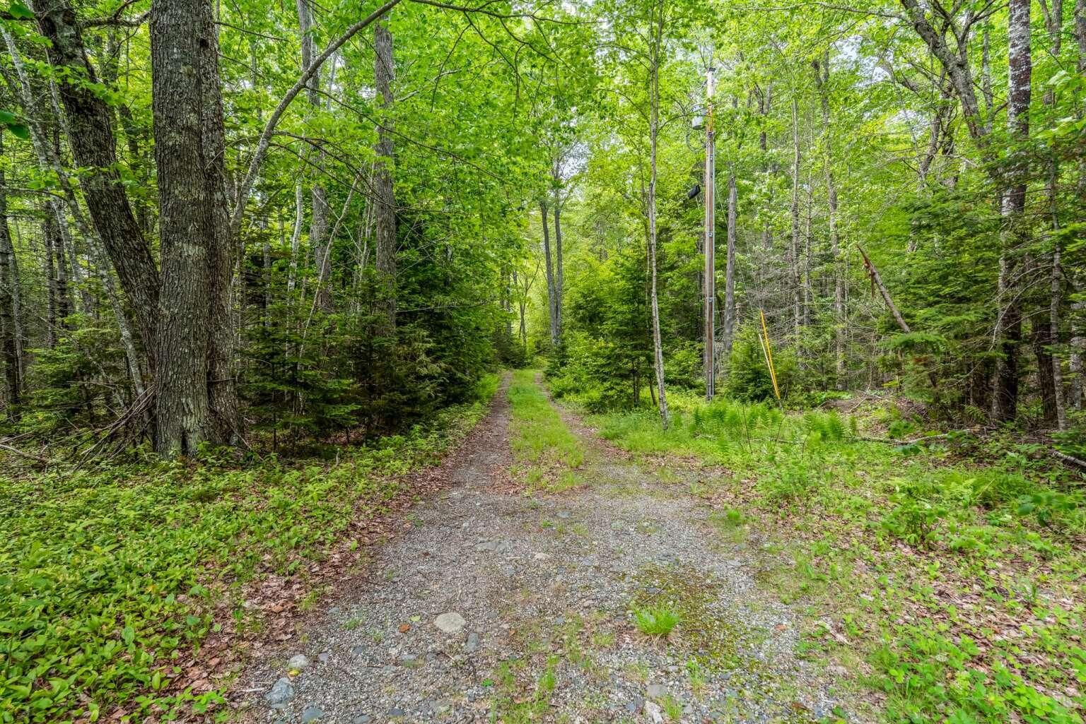 241 Tannery Brook Road Mariaville ME 04605