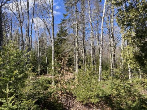 241 Tannery Brook Road Mariaville ME 04605