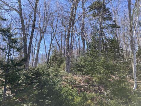 241 Tannery Brook Road Mariaville ME 04605