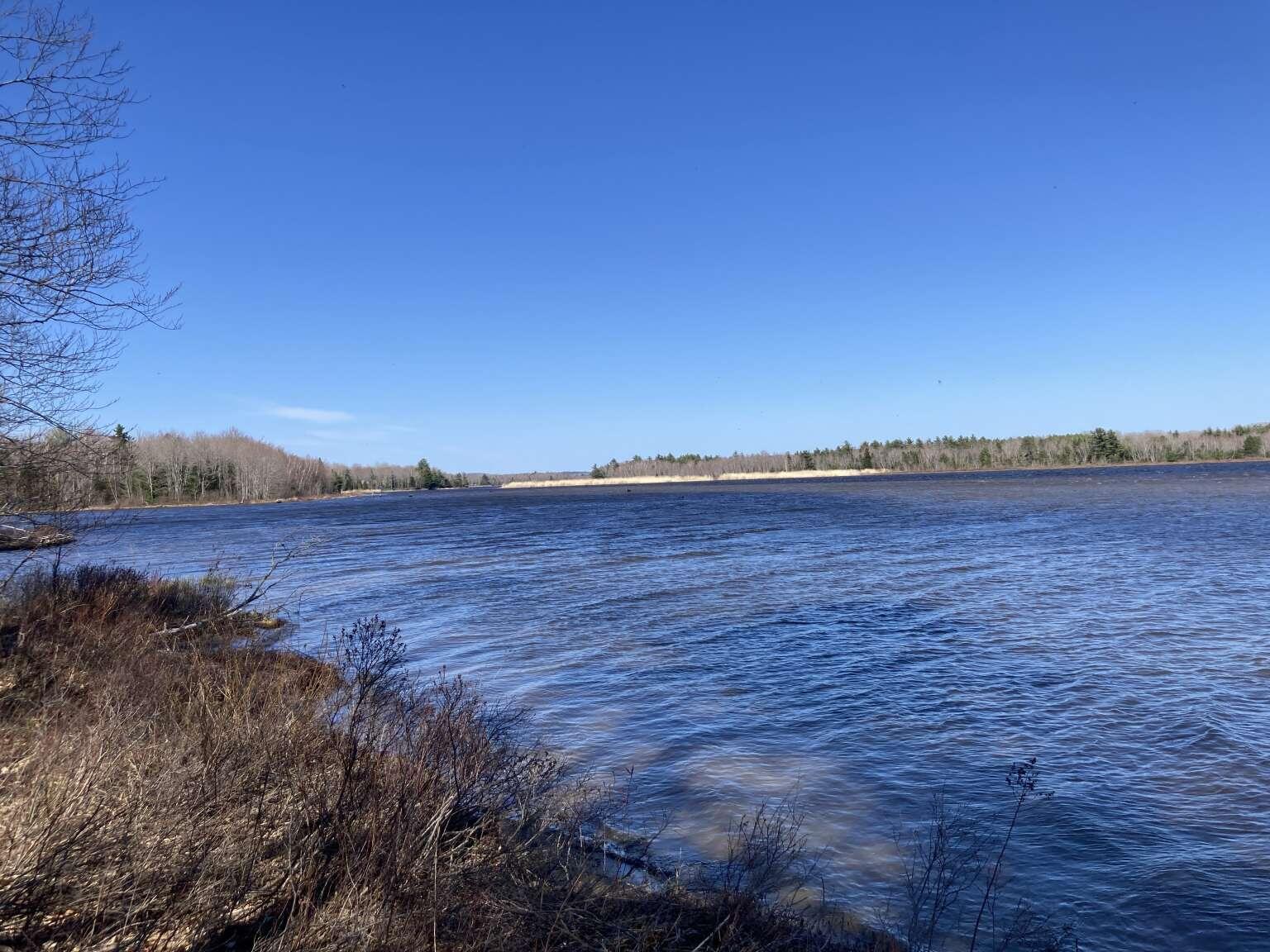 241 Tannery Brook Road Mariaville ME 04605