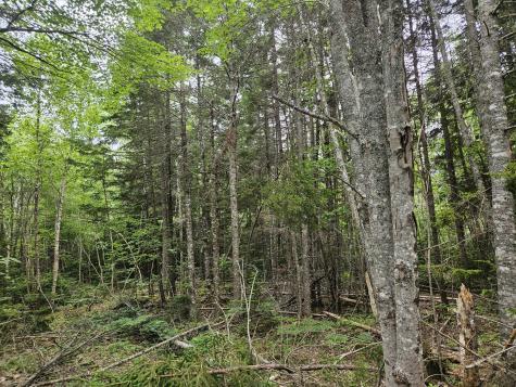 M14l33a Off Smithville Road Steuben ME 04680