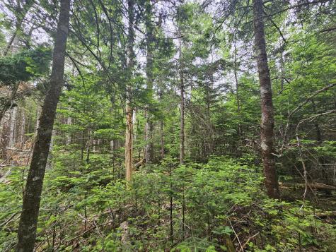 M14l33a Off Smithville Road Steuben ME 04680