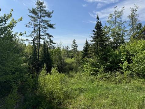 2024 Hemlock Ridge Drive Hermon ME 04401