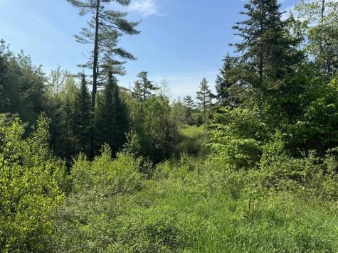 2024 Hemlock Ridge Drive Hermon ME 04401