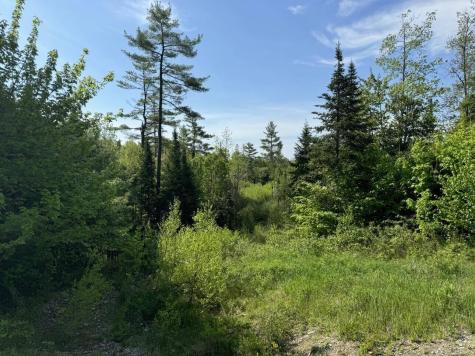 2024 Hemlock Ridge Drive Hermon ME 04401