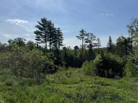 2024 Hemlock Ridge Drive Hermon ME 04401