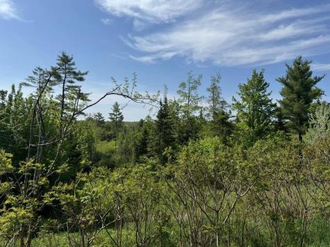 2024 Hemlock Ridge Drive Hermon ME 04401