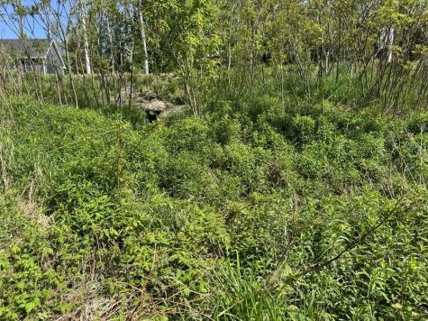 2024 Hemlock Ridge Drive Hermon ME 04401