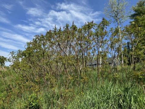 2024 Hemlock Ridge Drive Hermon ME 04401