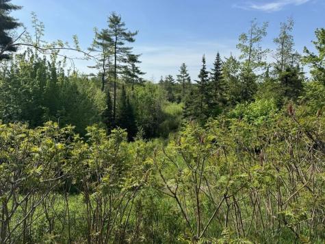 2024 Hemlock Ridge Drive Hermon ME 04401