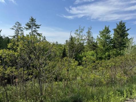 2024 Hemlock Ridge Drive Hermon ME 04401