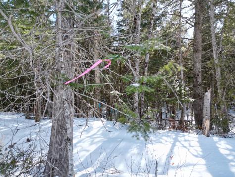 20 Twin Springs Lane Lincoln ME 04457