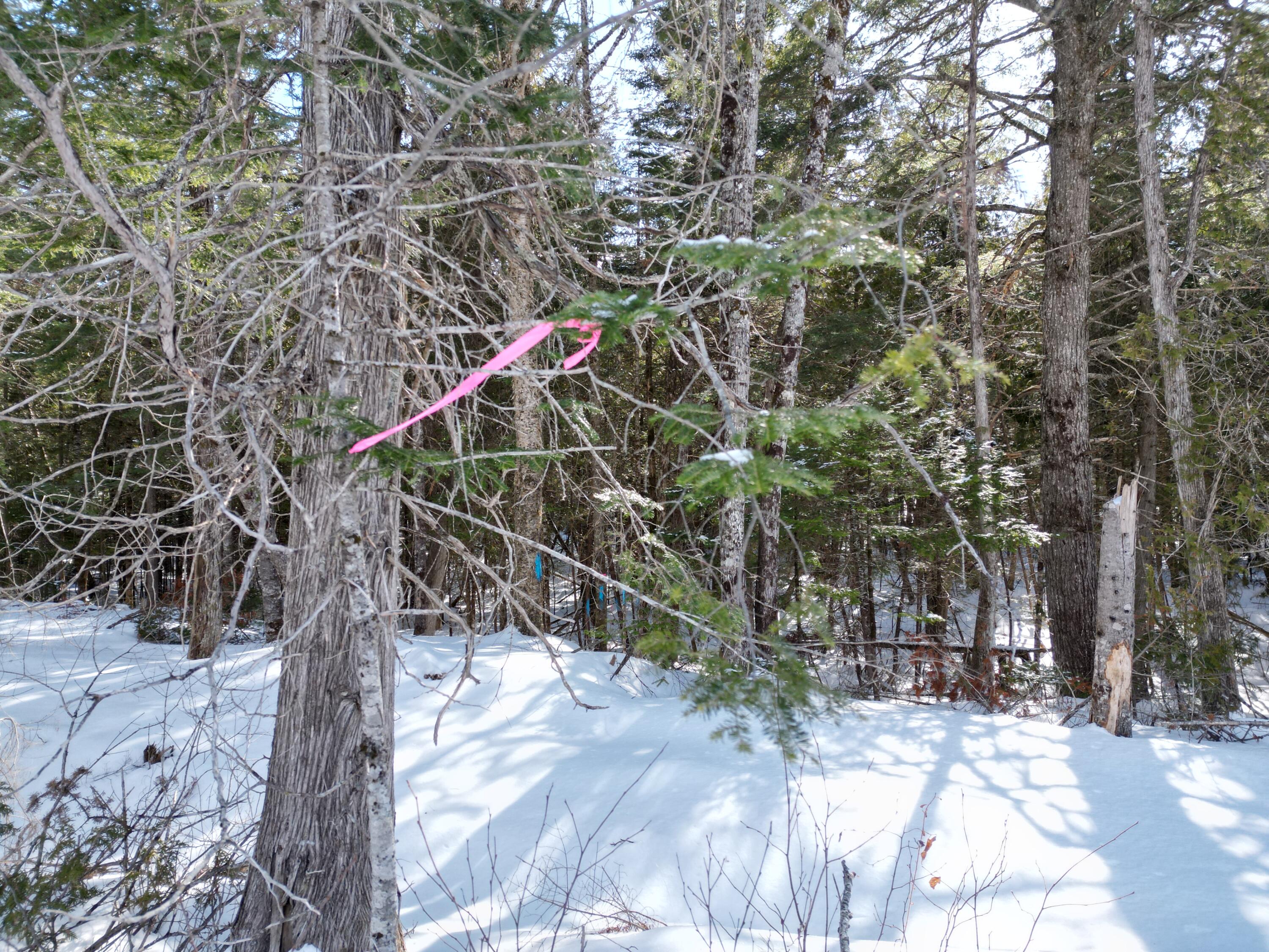 20 Twin Springs Lane Lincoln ME 04457