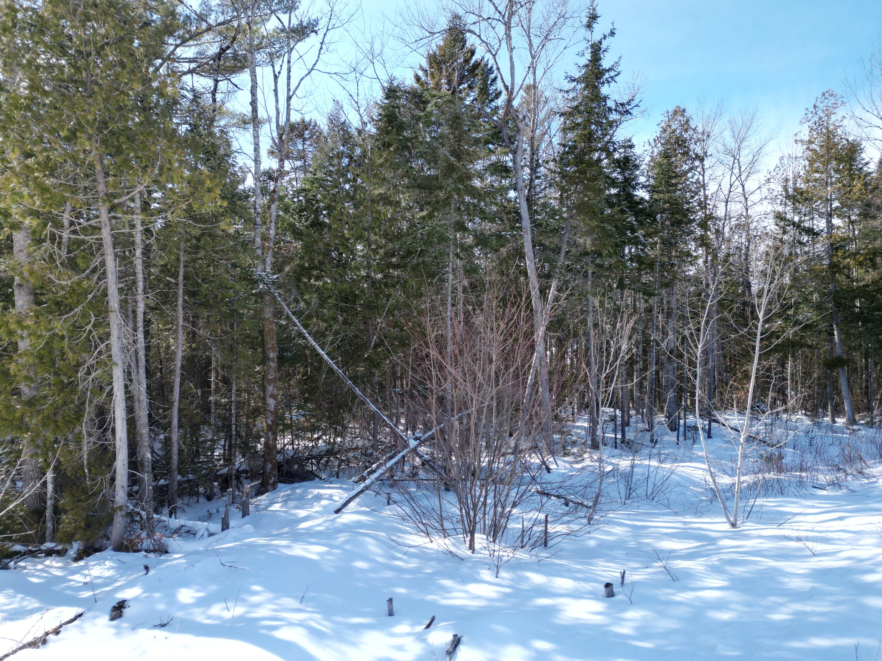20 Twin Springs Lane Lincoln ME 04457