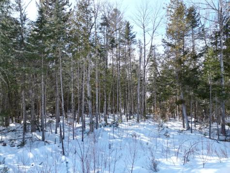 20 Twin Springs Lane Lincoln ME 04457