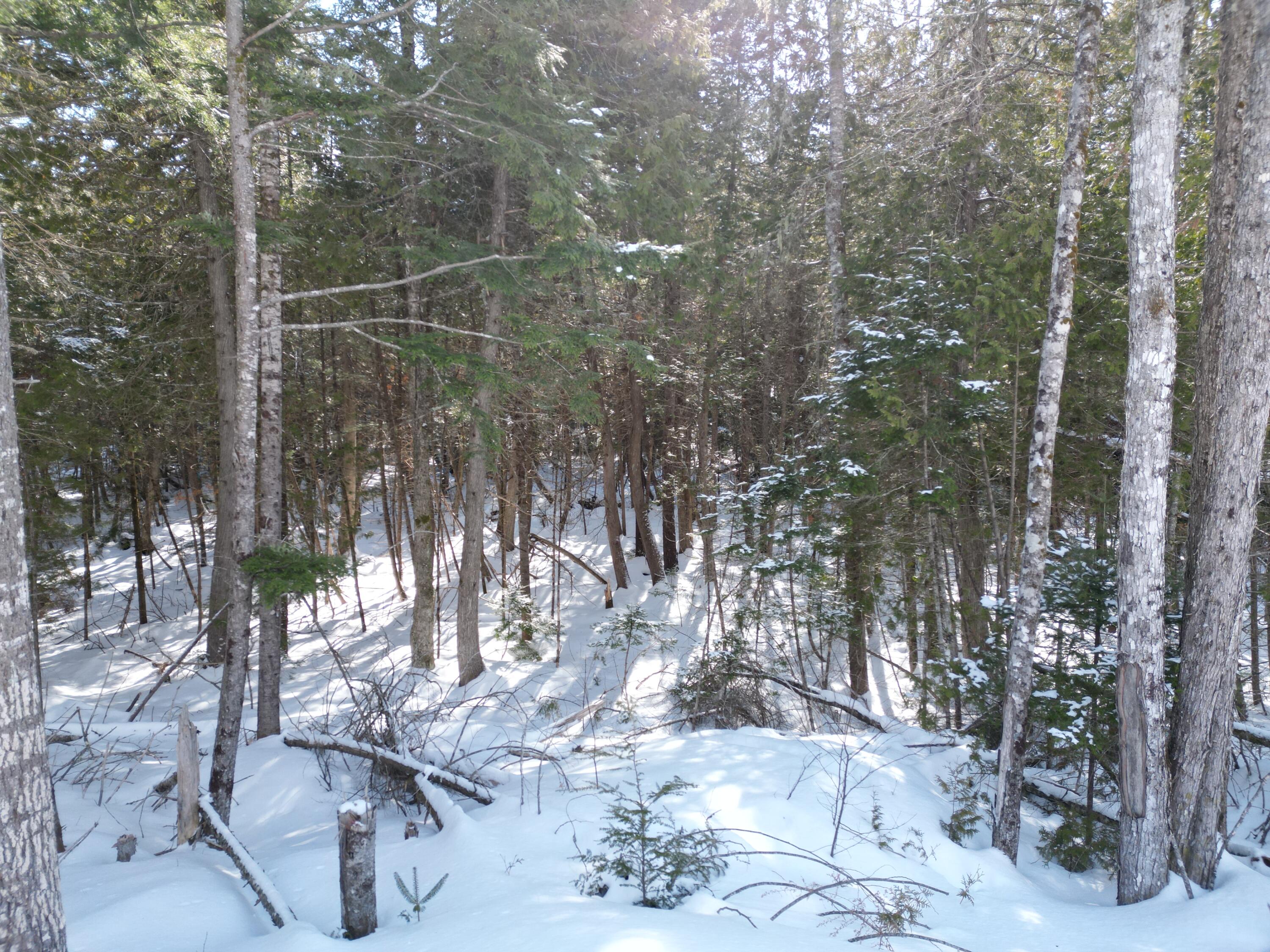 20 Twin Springs Lane Lincoln ME 04457