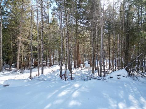 20 Twin Springs Lane Lincoln ME 04457