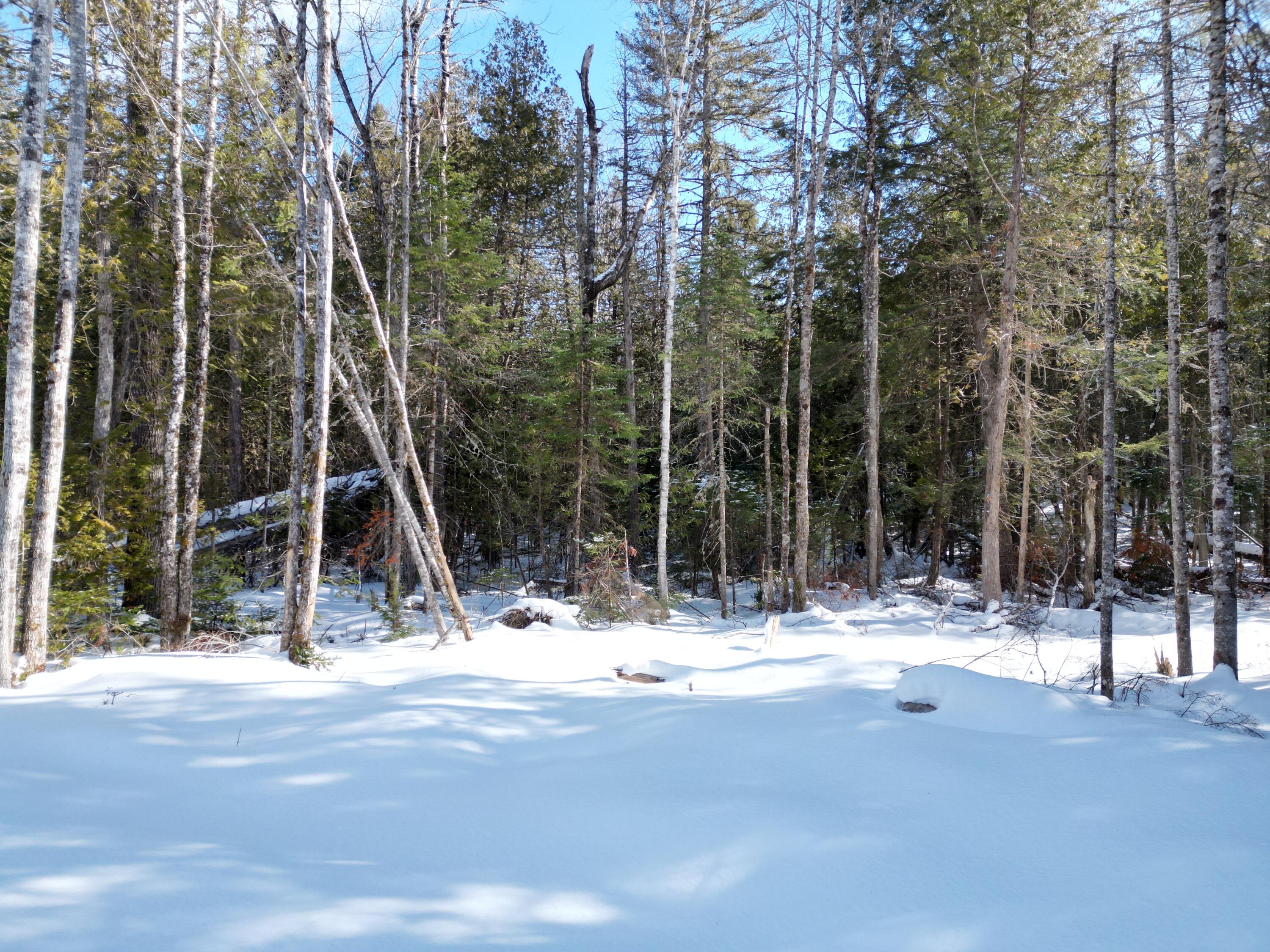20 Twin Springs Lane Lincoln ME 04457