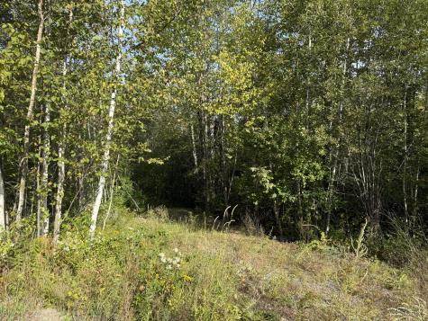 11 Bowling Green Lane Belfast ME 04915