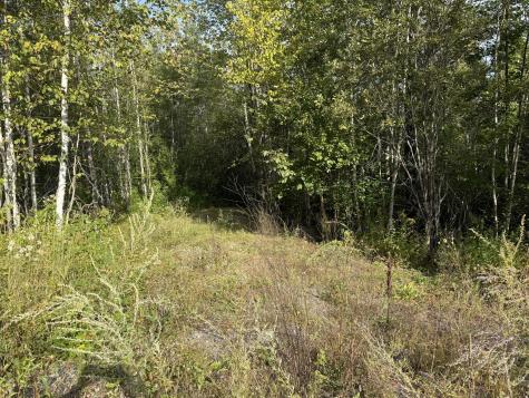 11 Bowling Green Lane Belfast ME 04915