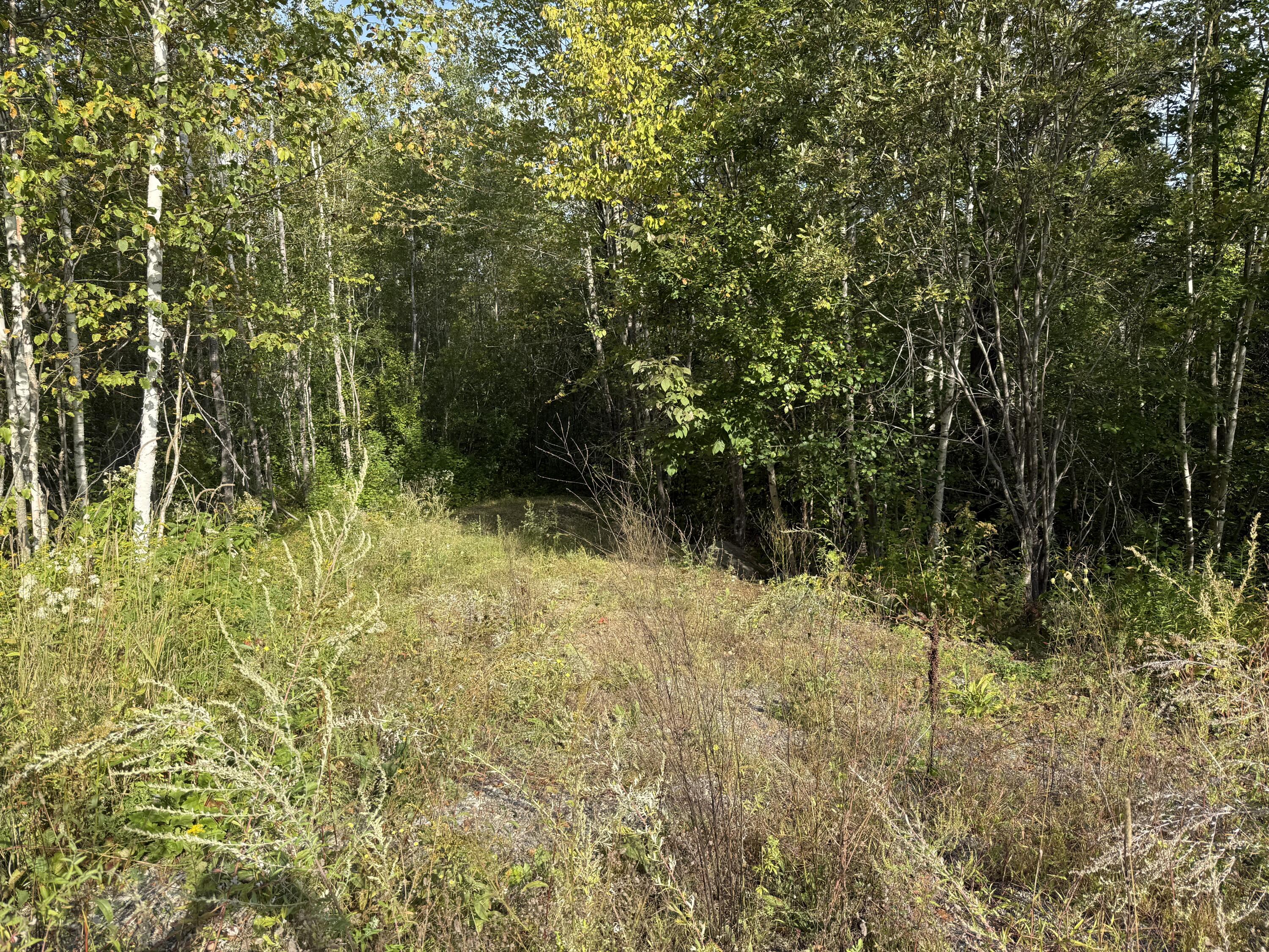 11 Bowling Green Lane Belfast ME 04915