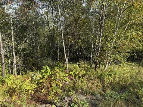 11 Bowling Green Lane Belfast ME 04915