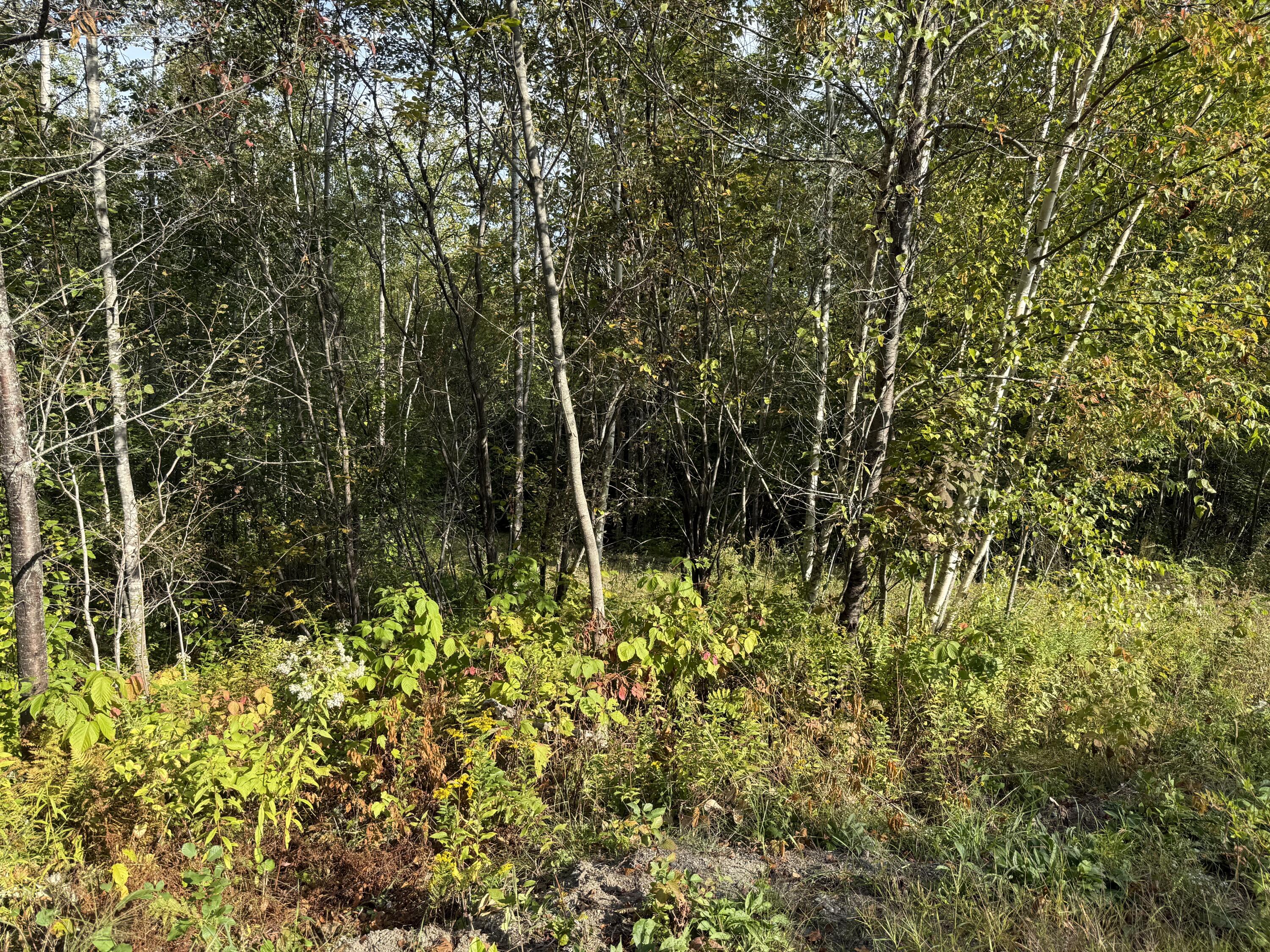 11 Bowling Green Lane Belfast ME 04915