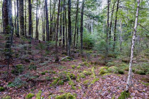 M7L27 Route 200 Waltham ME 04605