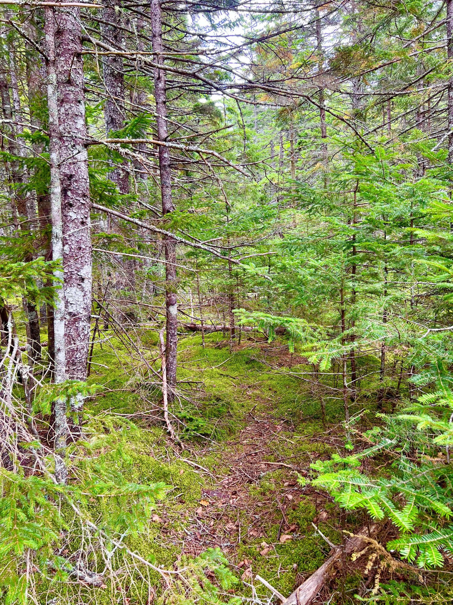 101 Freeman Ridge Road Southwest Harbor ME 04679